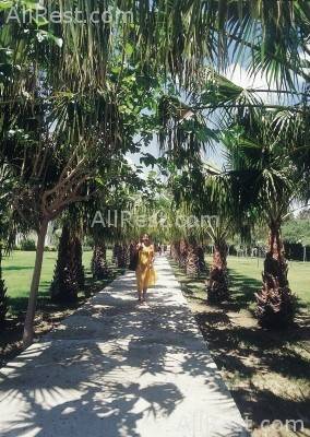 Gardenia Beach Hotel 11